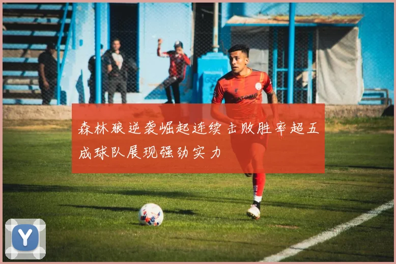 森林狼逆袭崛起连续击败胜率超五成球队展现强劲实力